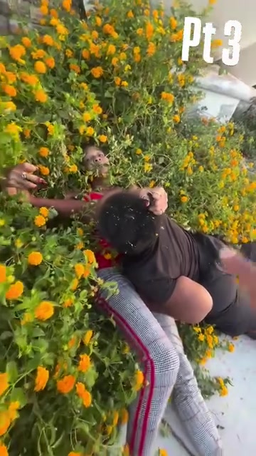 get out the bushes